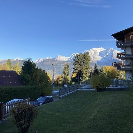 Appartement La Marmotte: Vue Mont Blanc, Terrasse, Parking à Combloux Extérieur photo