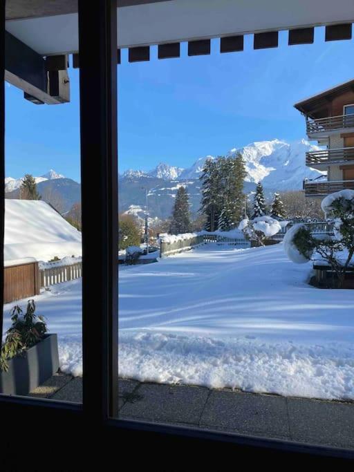 Appartement La Marmotte: Vue Mont Blanc, Terrasse, Parking à Combloux Extérieur photo