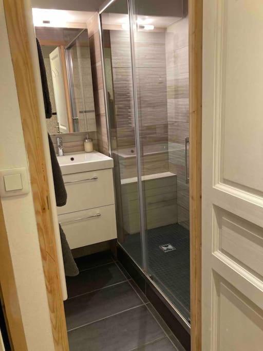 Appartement La Marmotte: Vue Mont Blanc, Terrasse, Parking à Combloux Extérieur photo
