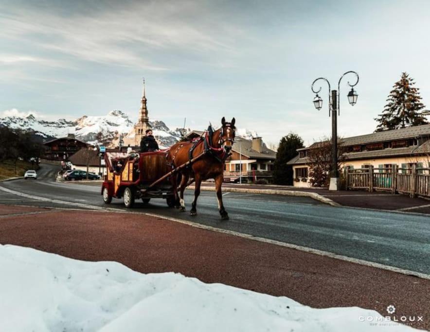 Appartement La Marmotte: Vue Mont Blanc, Terrasse, Parking à Combloux Extérieur photo