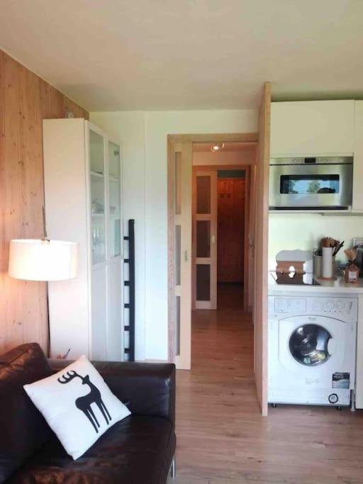 Appartement La Marmotte: Vue Mont Blanc, Terrasse, Parking à Combloux Extérieur photo